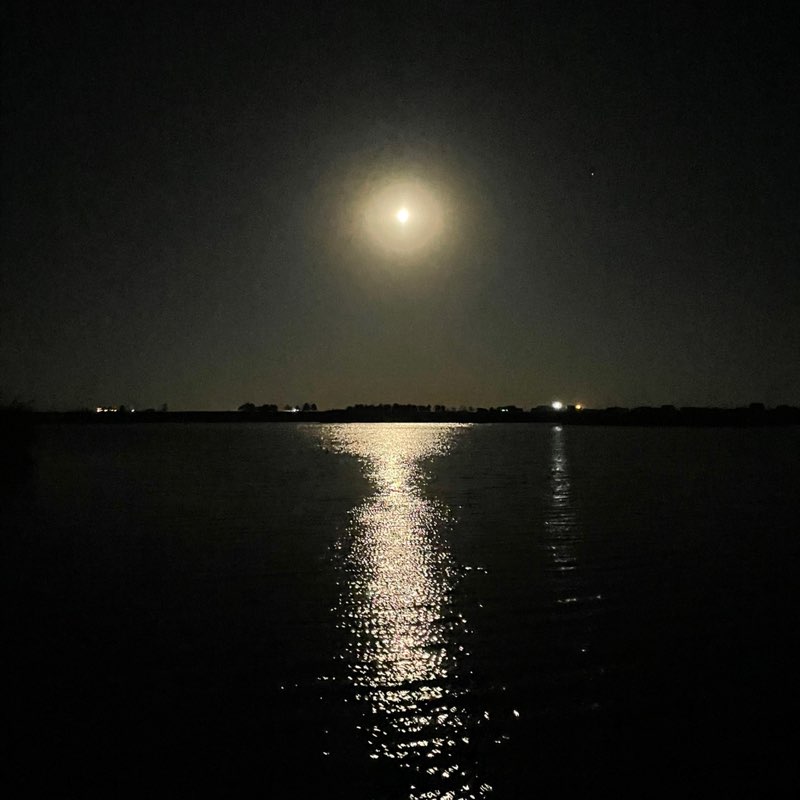 Пенисы Kostya post image