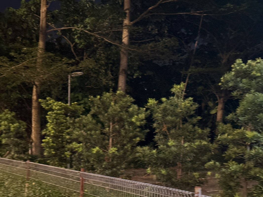 walking near me in Tropicana Park in autumn