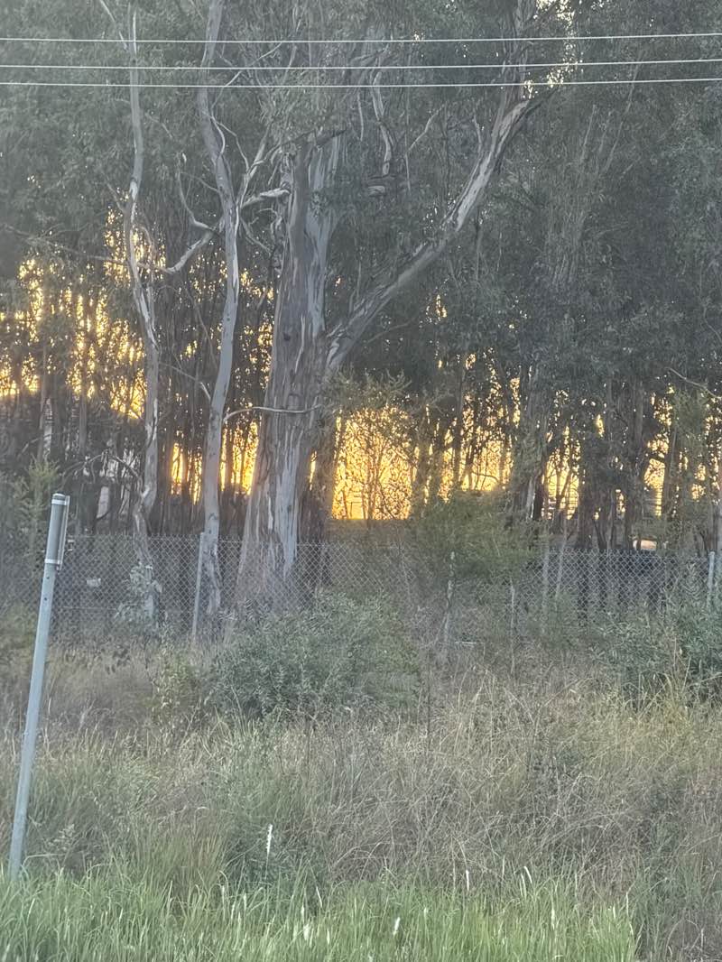 walking near me in Woodhill Reserve in autumn