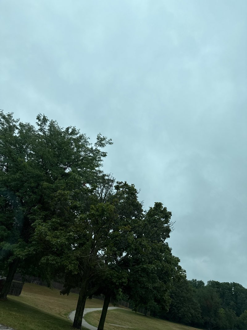 walking near me in Cascade Township Park in summer