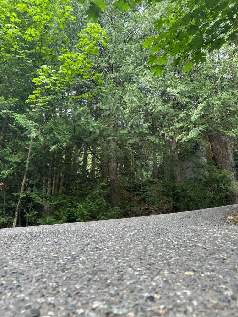 walking near me in Lookout Mountain Forest Preserve in autumn