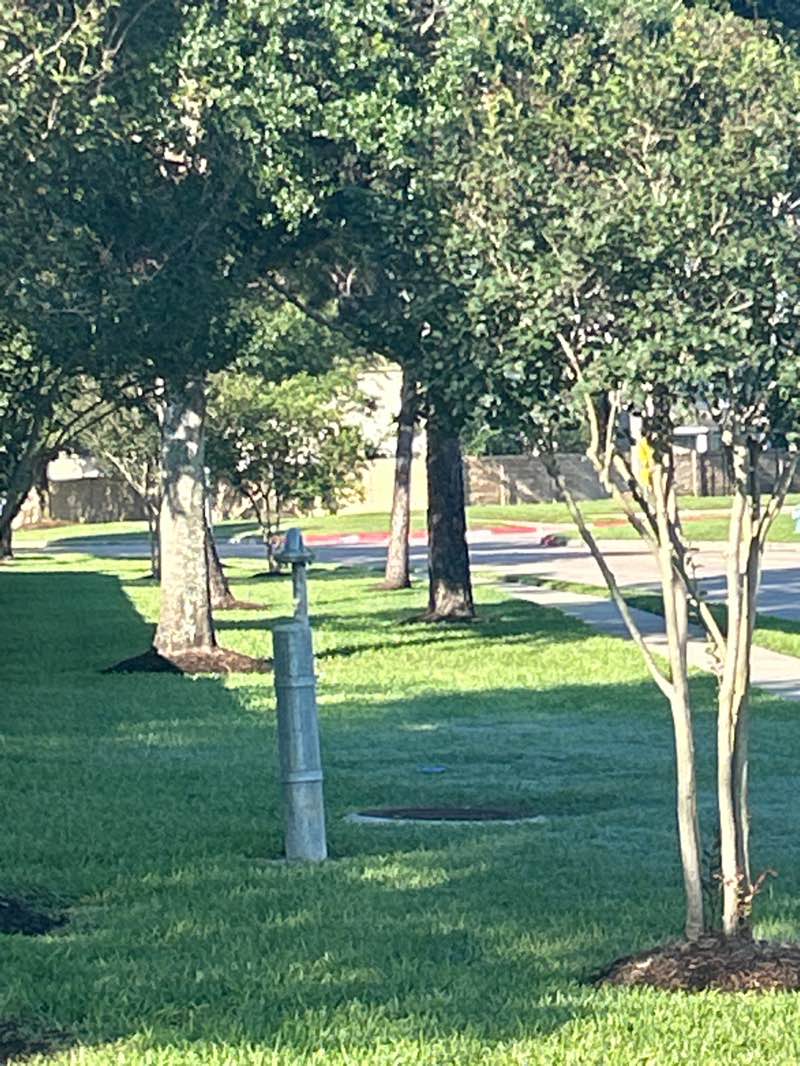 walking near me in Westheimer Lakes Park in spring