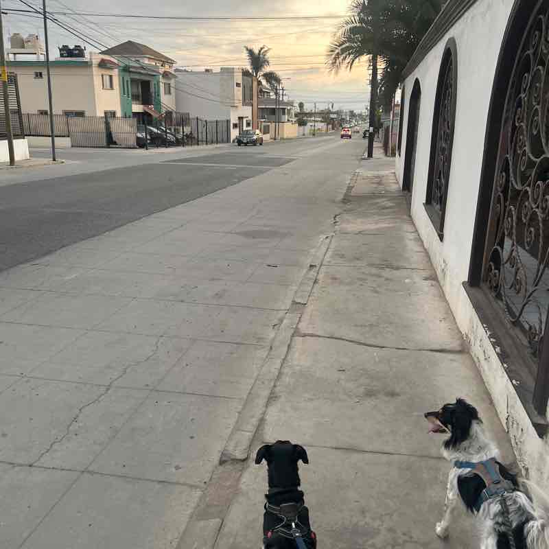 Hot girl walk 🌸 Itzel post image