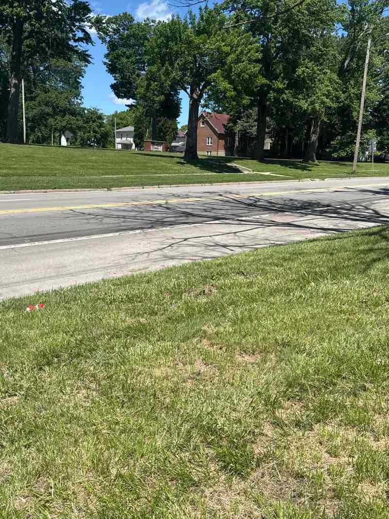 walking near me in Crowell Park in summer