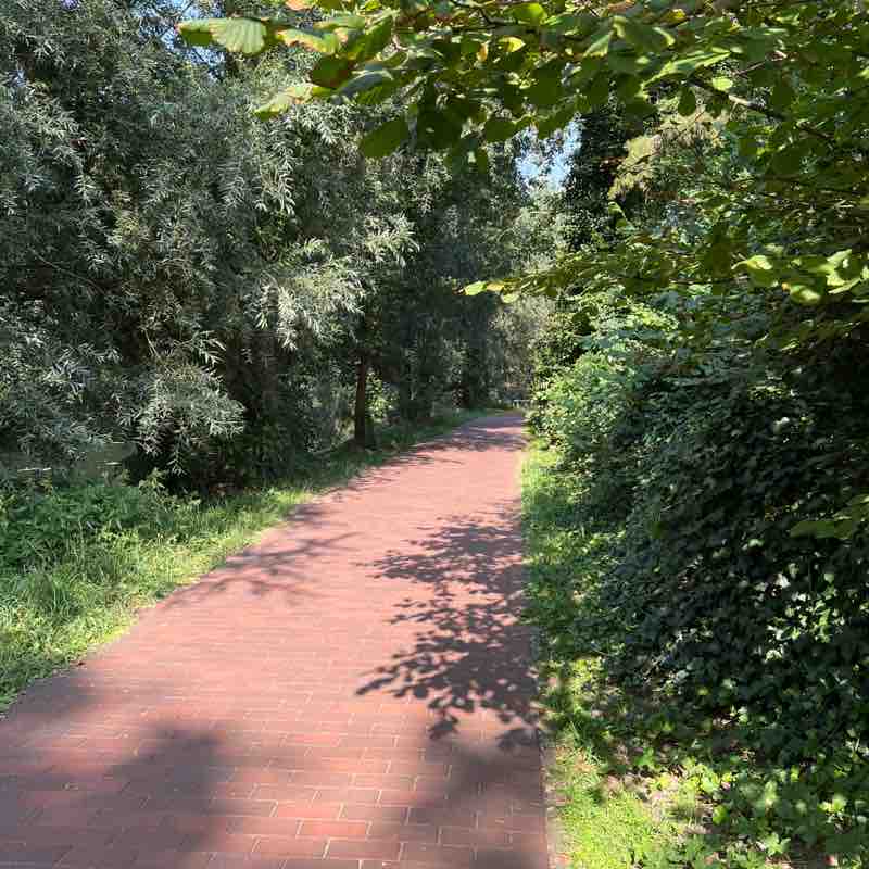 Schritt für Schritt 🐾 Doris post image