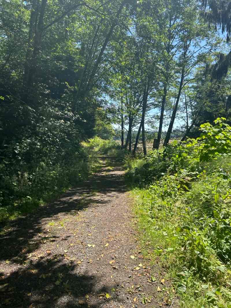 walking near me in Johns River Wildlife Area in summer