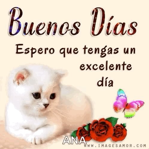 Chuchis eloy post image