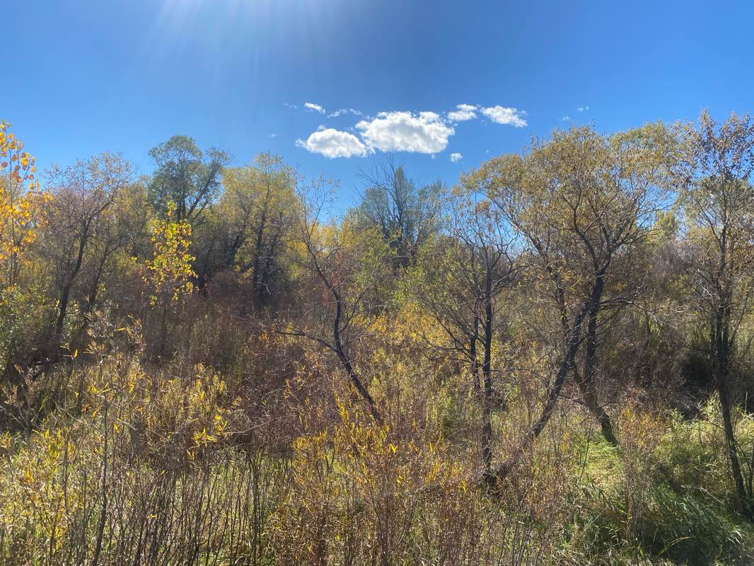 walking near me in Challenger Regional Park in autumn