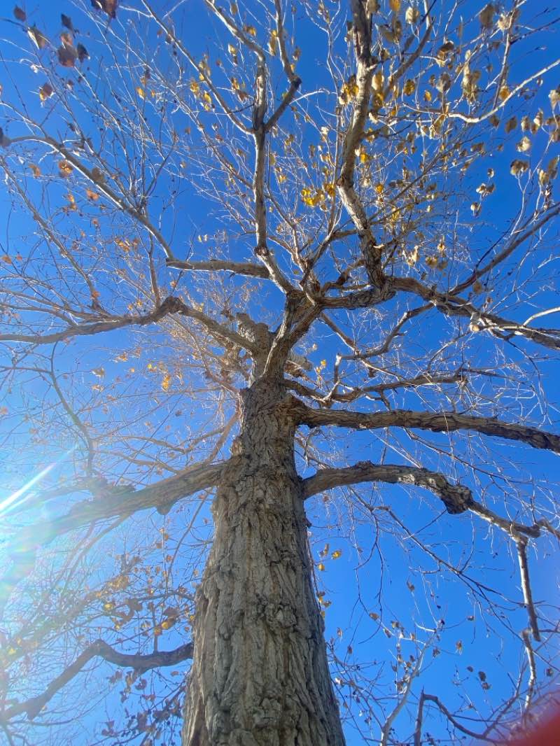 walking near me in Dove Valley Open Space in autumn
