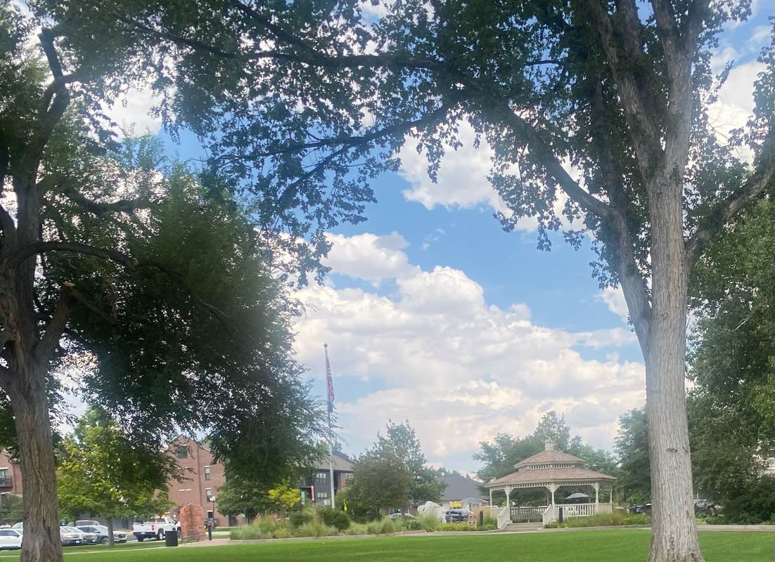 walking near me in O'Brien Memorial Park in autumn
