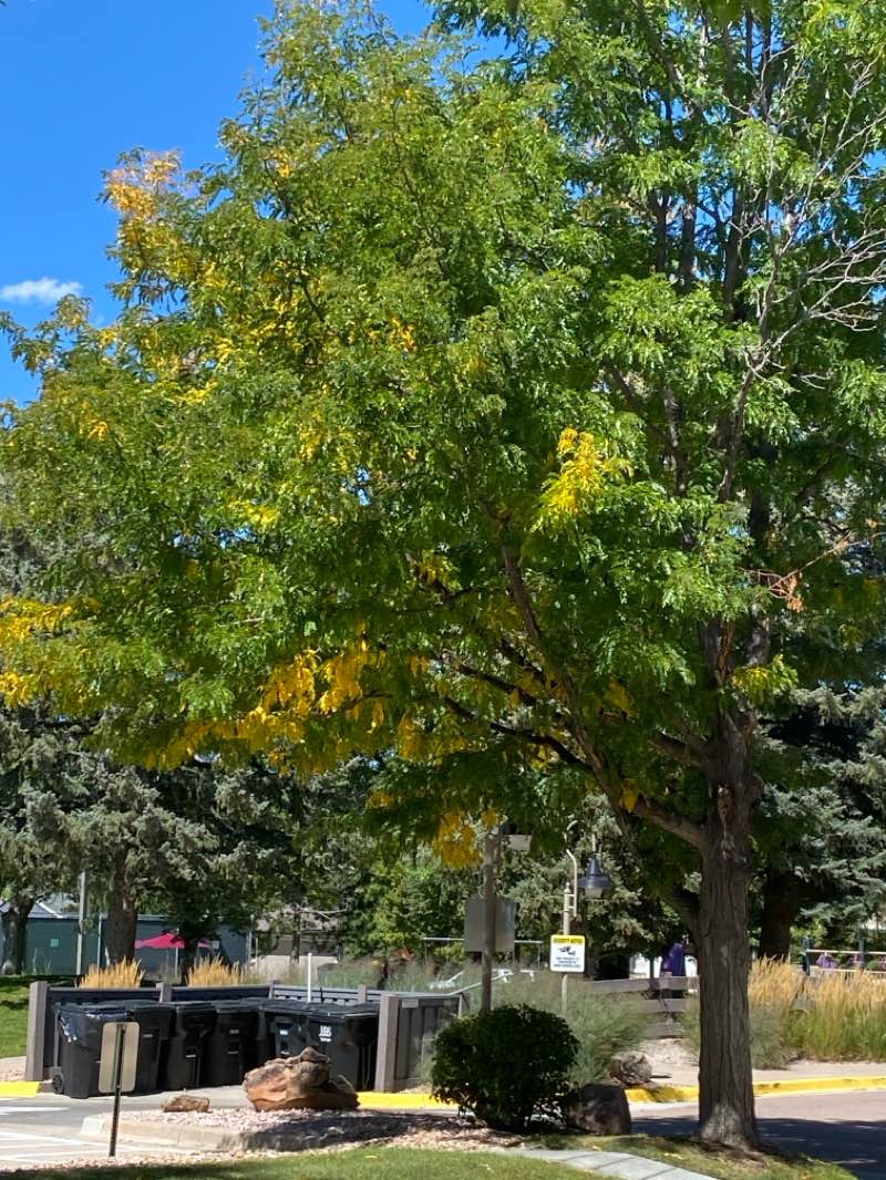 walking near me in Creekside Park in autumn
