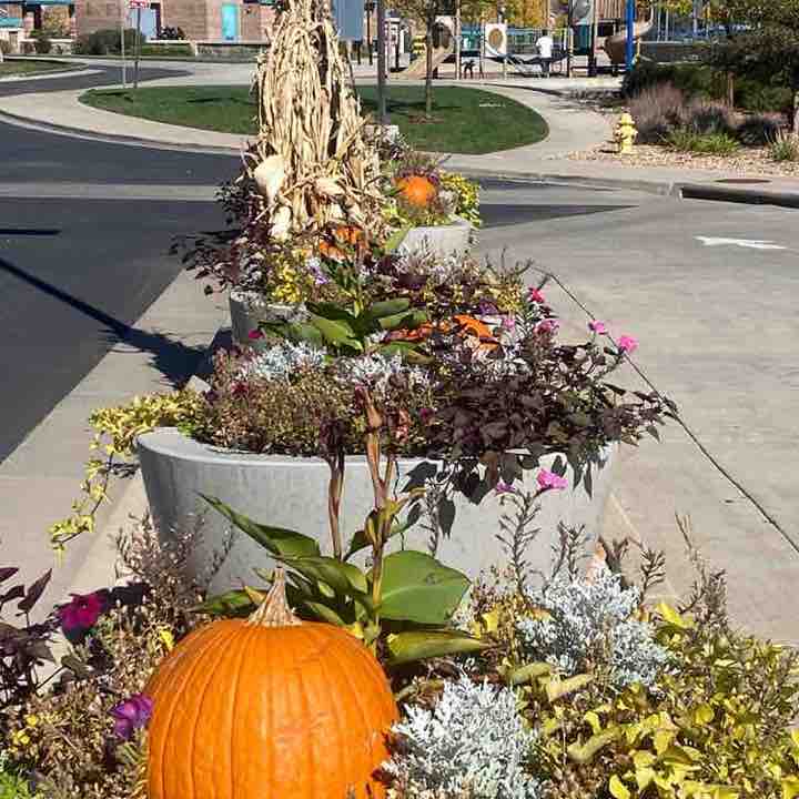 Mary Catherine Trego post 1