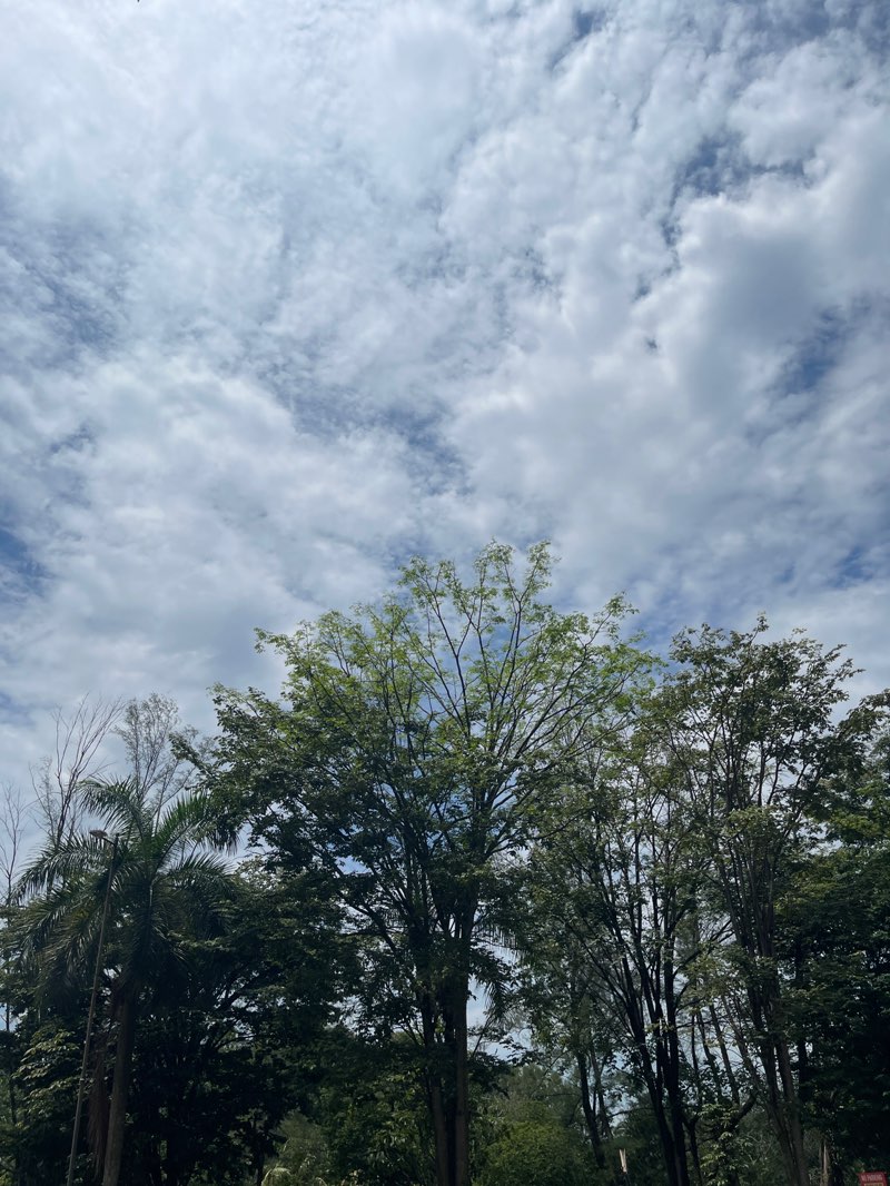 walking near me in Central Park Bandar Utama in winter