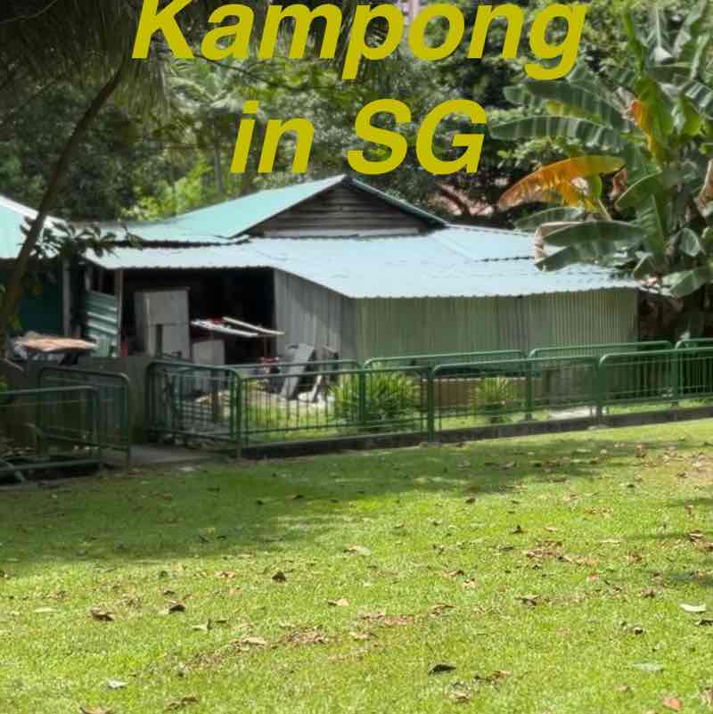 Romulo post 2