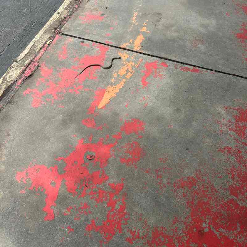 Chad-parks maintenance post 2