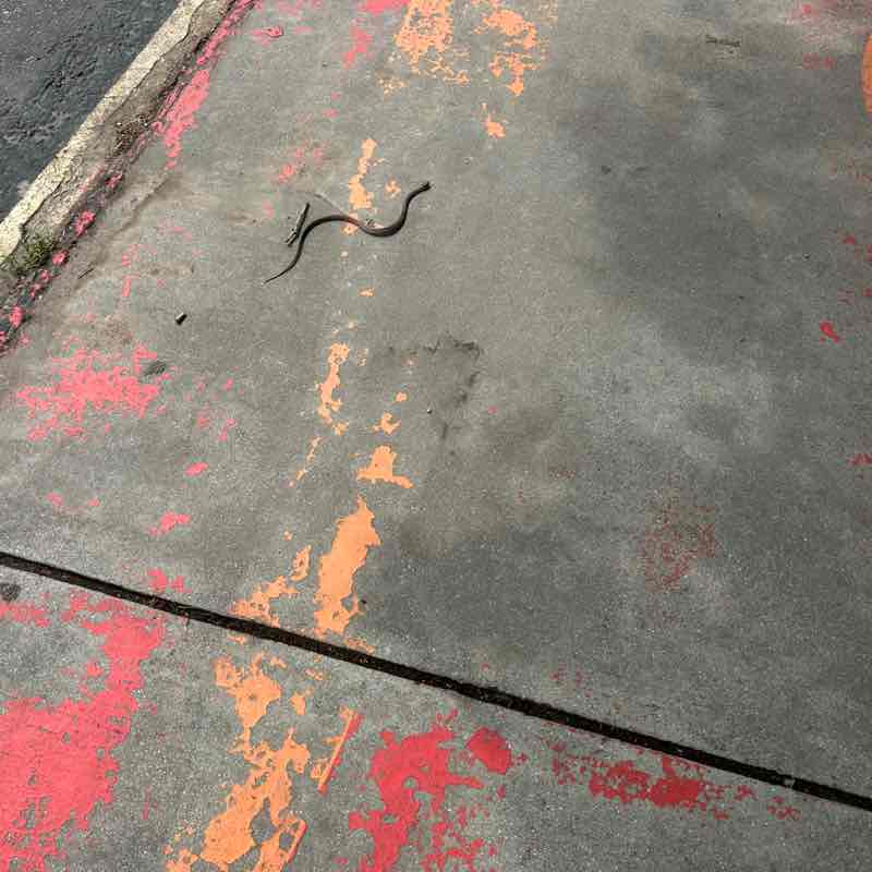 Chad-parks maintenance post 1