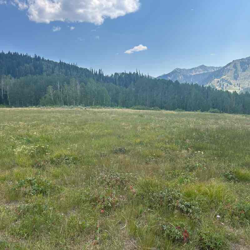 WVC Steps Challenge Chad-parks maintenance post image