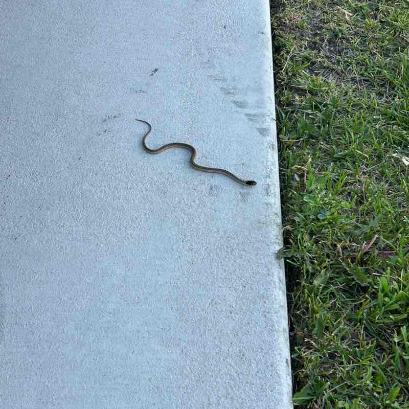 WVC Steps Challenge Chad-parks maintenance post image