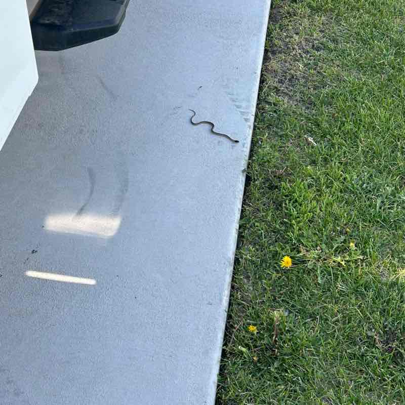 WVC Steps Challenge Chad-parks maintenance post image