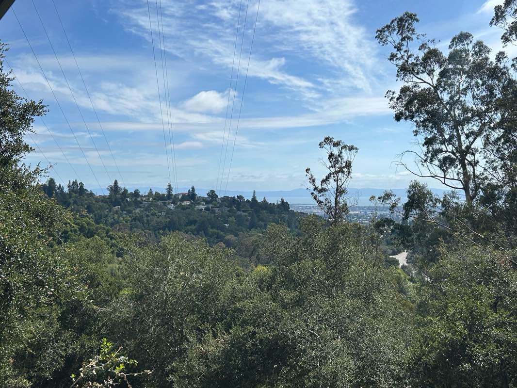 walking near me in Shepherd Canyon Park in summer