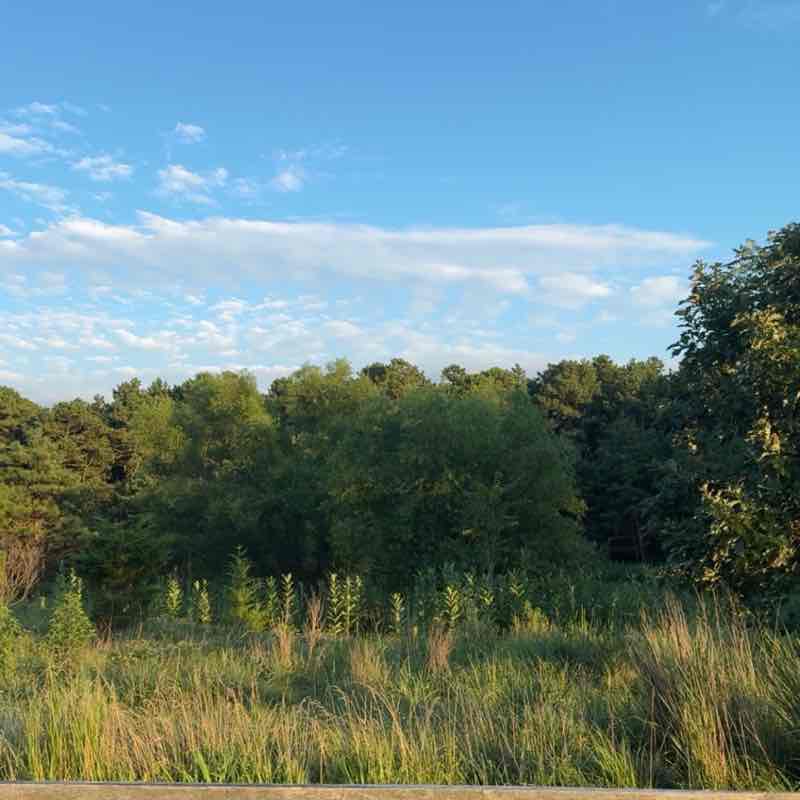 CCR Veronica post image