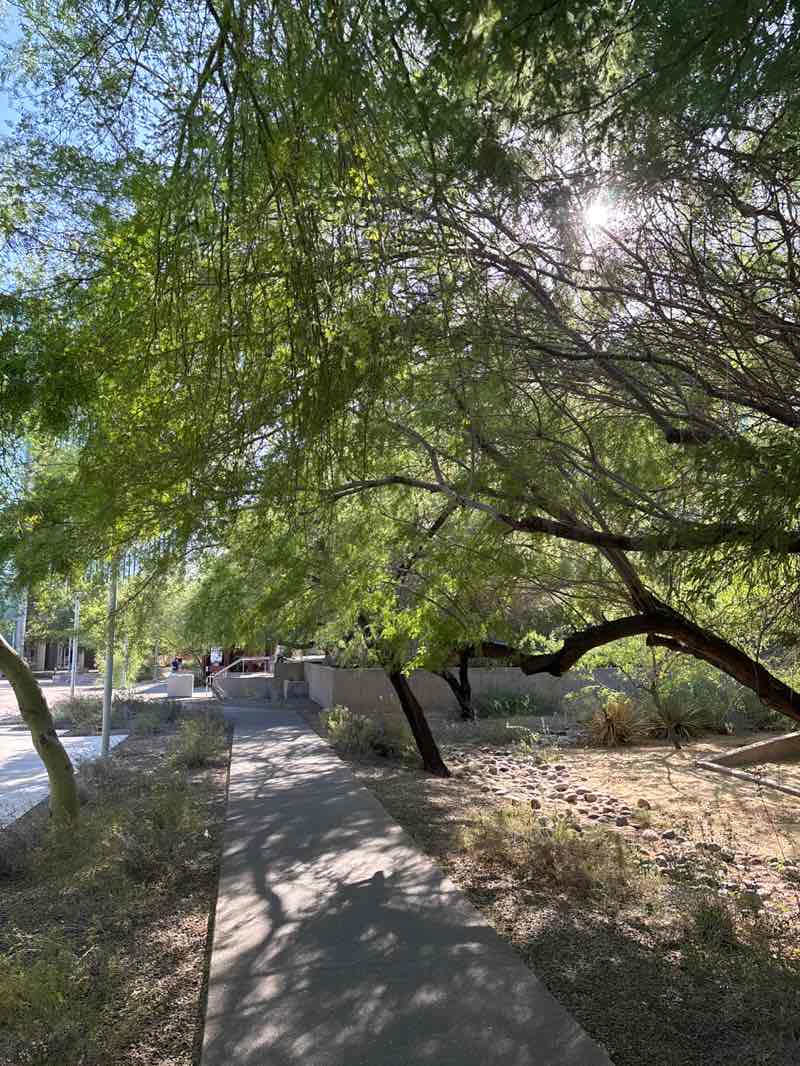 walking near me in Historic Palm Walk in spring