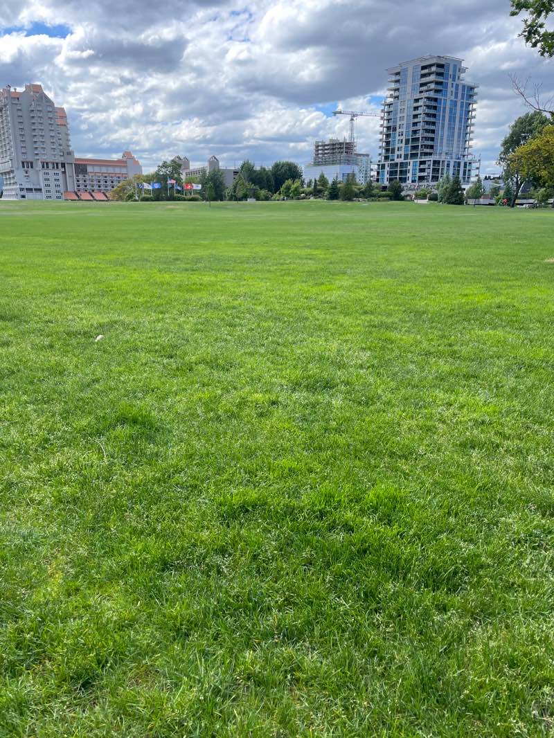 walking near me in McEuen Park in summer