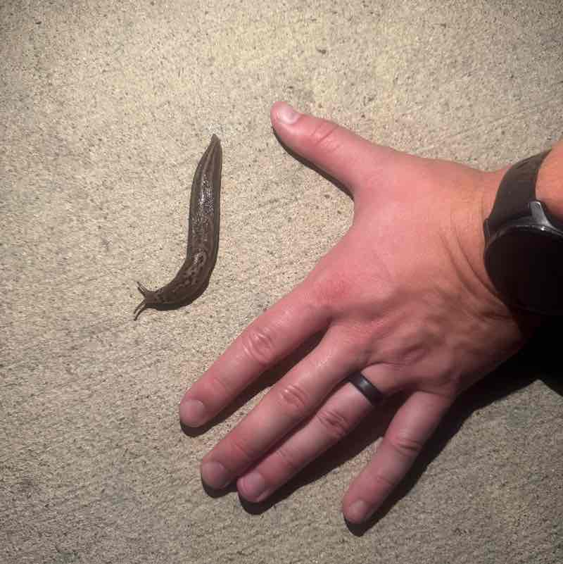 Family marandabarnhart post image