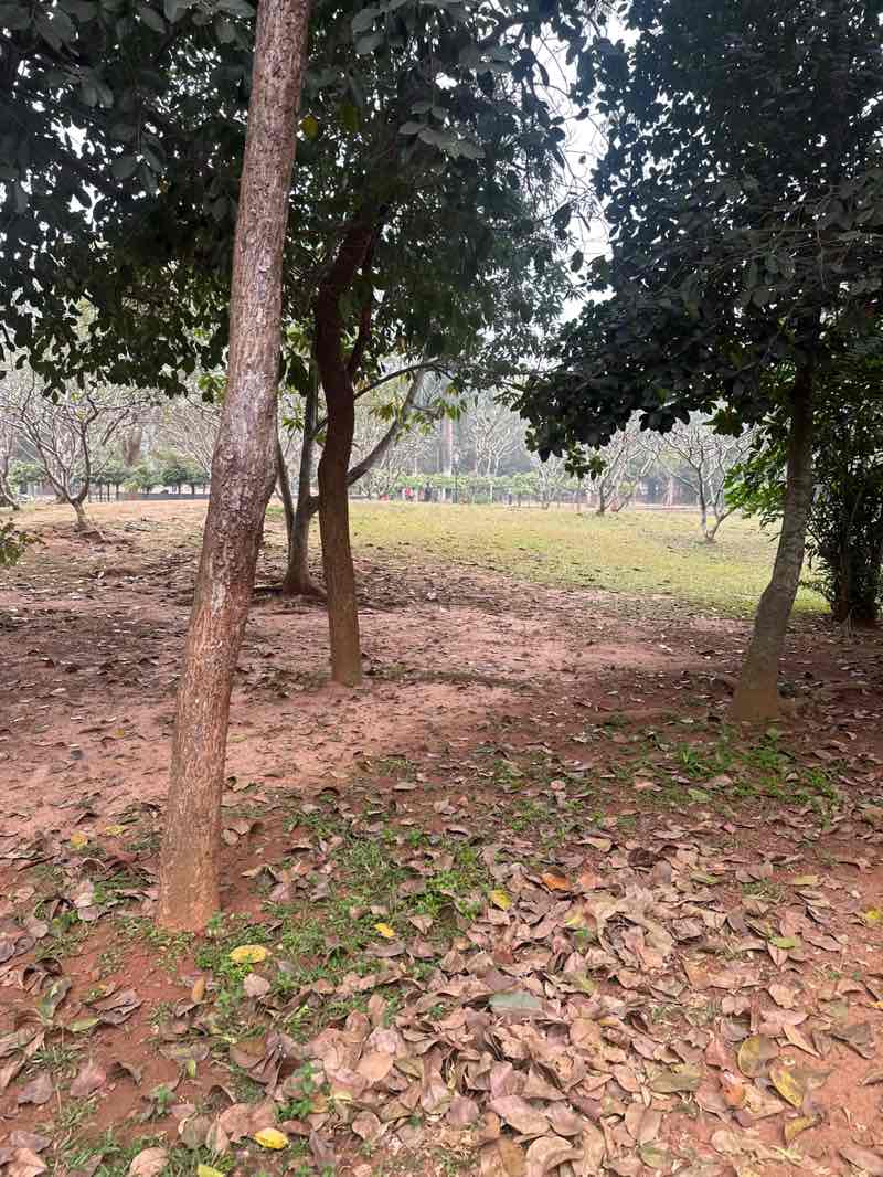walking near me in Forest Park (Biju Patnaik Park) in winter