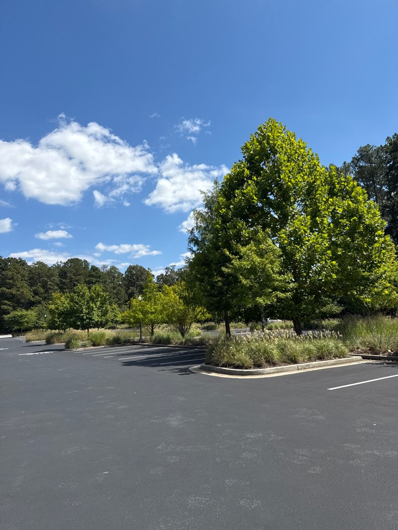 walking near me in Bell Memorial Park in autumn