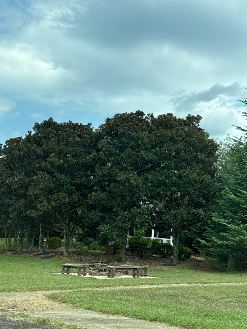 walking near me in Episcopal Church Park in autumn