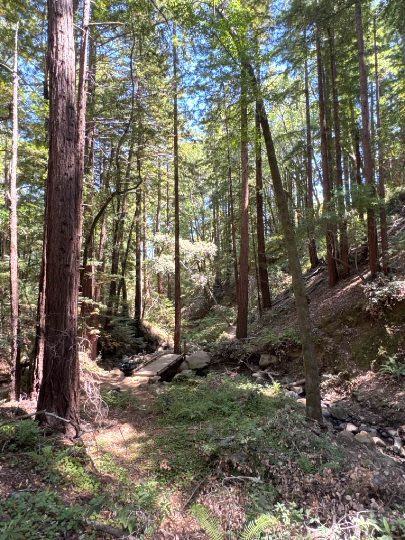 walking near me in Filoli Estate in autumn