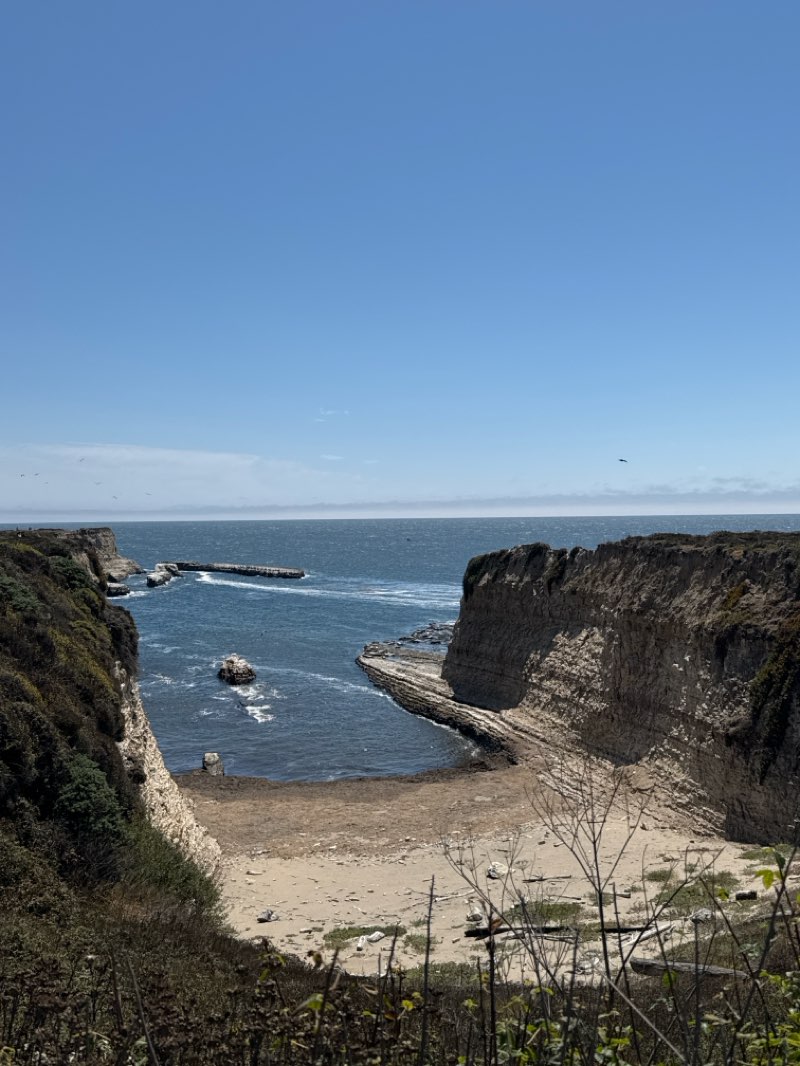 walking near me in Natural Bridges State Marine Reserve in autumn