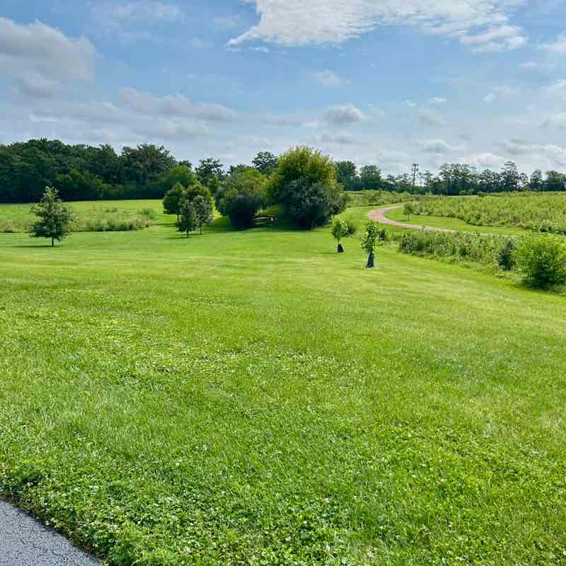 claudia solis post 1