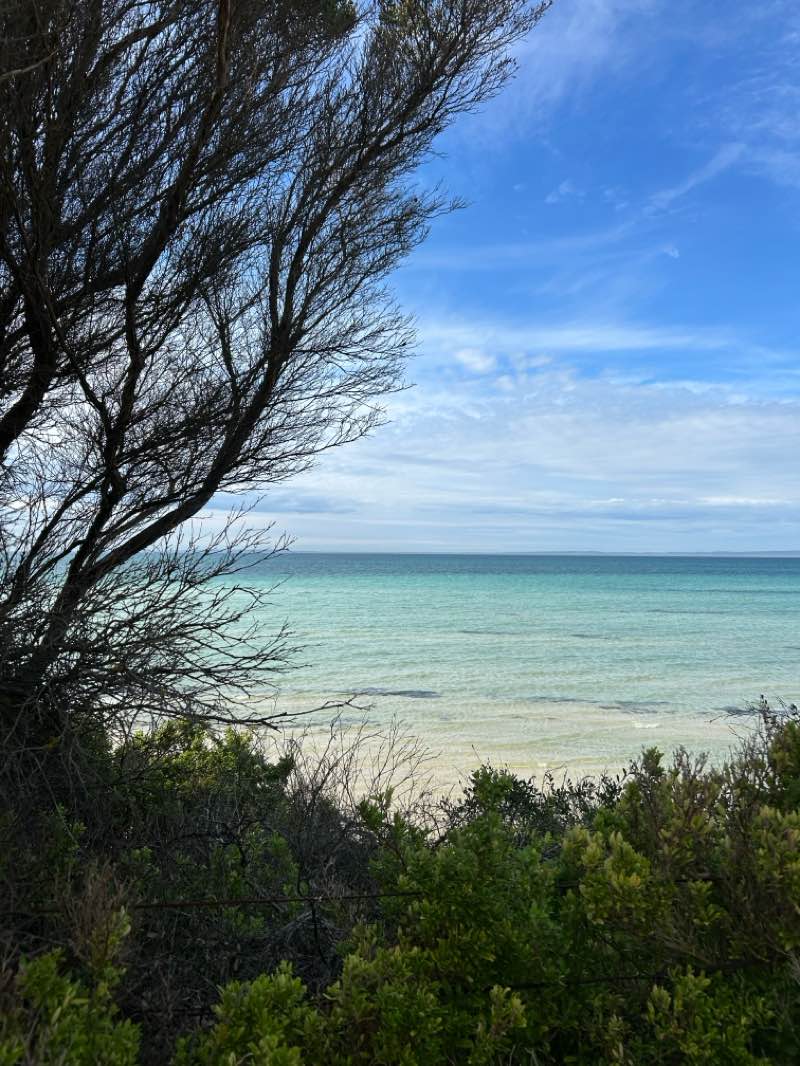 walking near me in Salt Lagoon, St Leonards Wildlife Reserve (no hunting) in spring