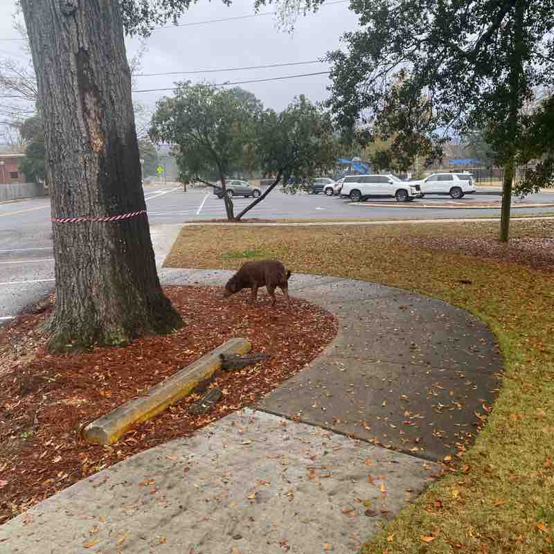 cathyphelps49 post 1