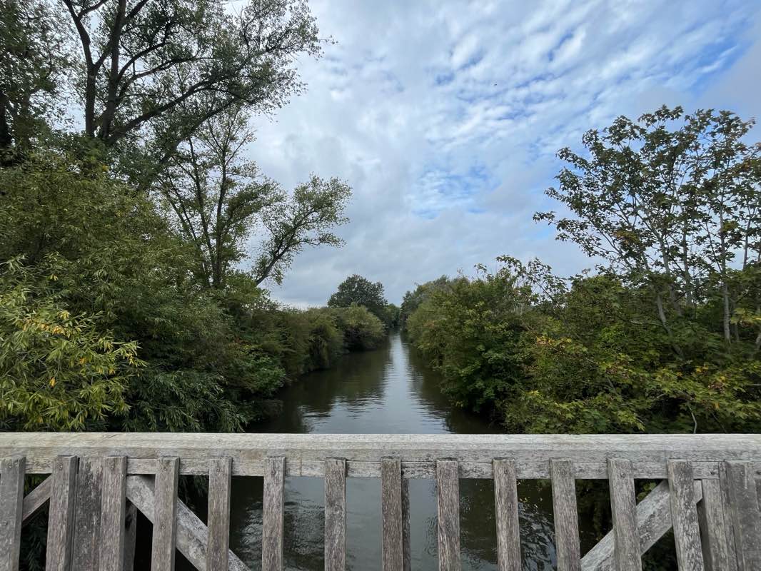 walking near me in Abbey Meadows in autumn