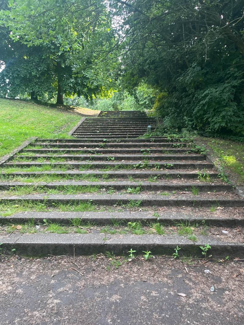 walking near me in Tividale Park in summer