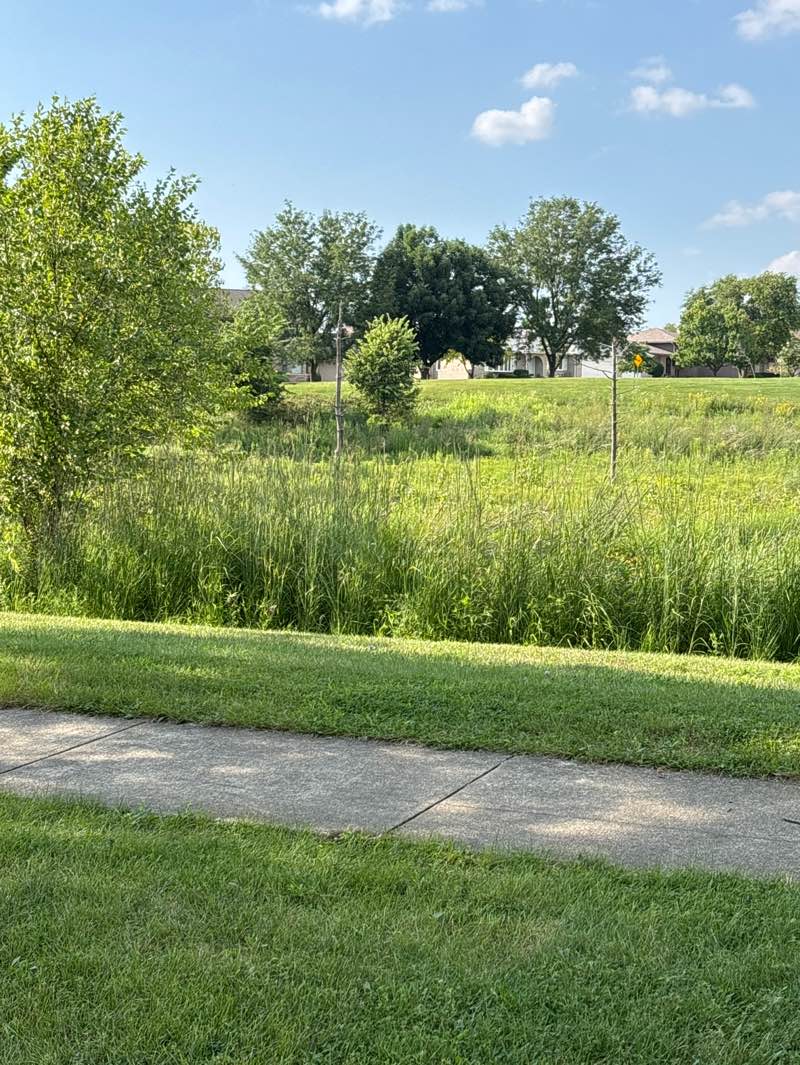 walking near me in Ide's Grove West Park in autumn