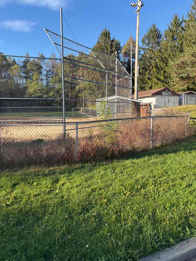 walking near me in Ebensburg Lion's Field in autumn