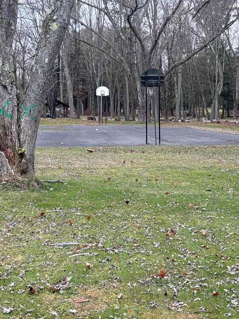 walking near me in Duman Lake County Park in autumn
