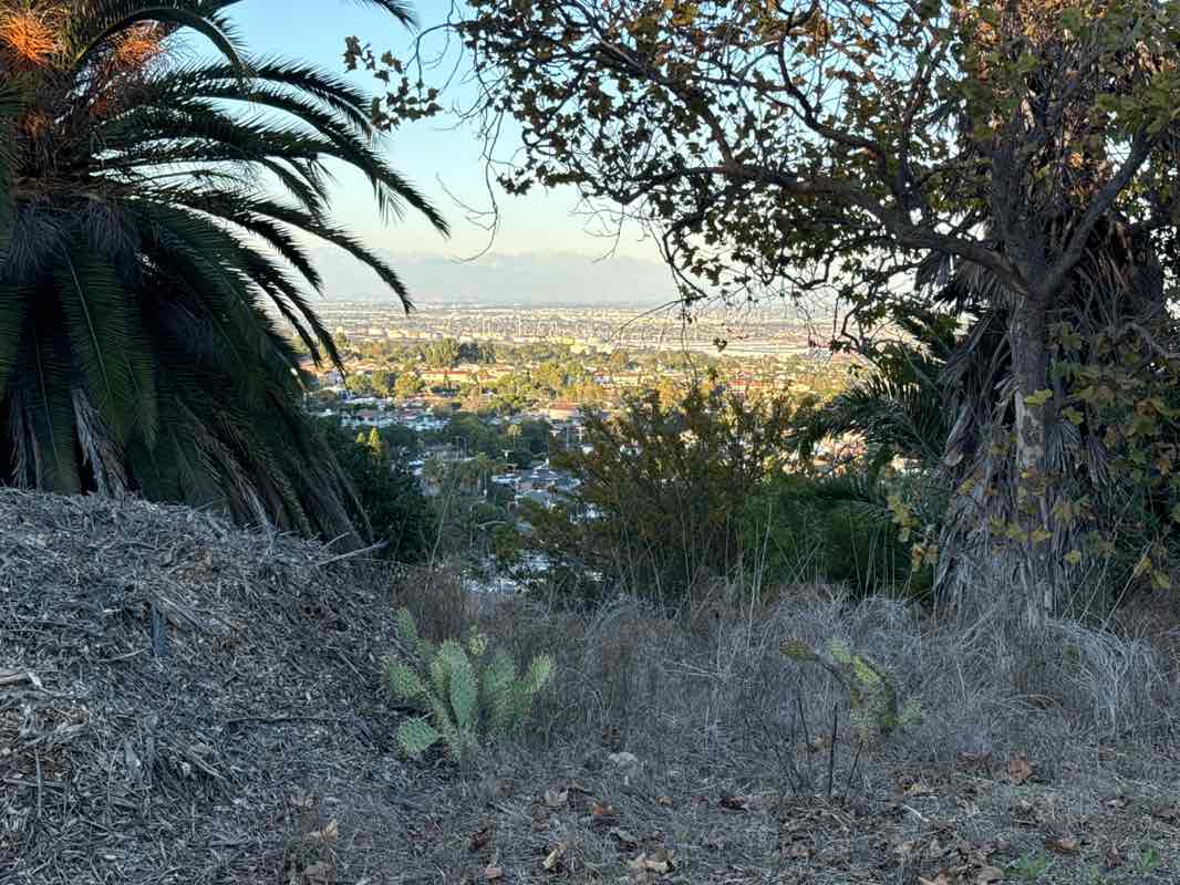 walking near me in Friendship Park in autumn