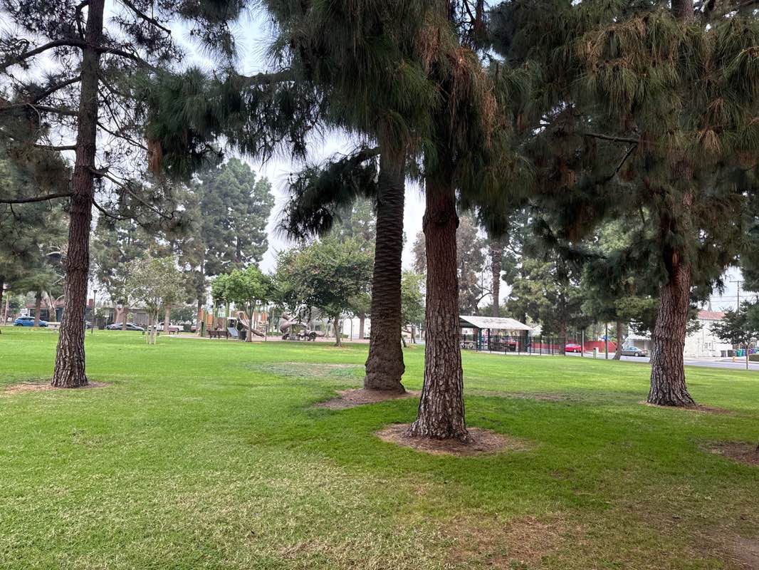 walking near me in Reservoir Park in autumn