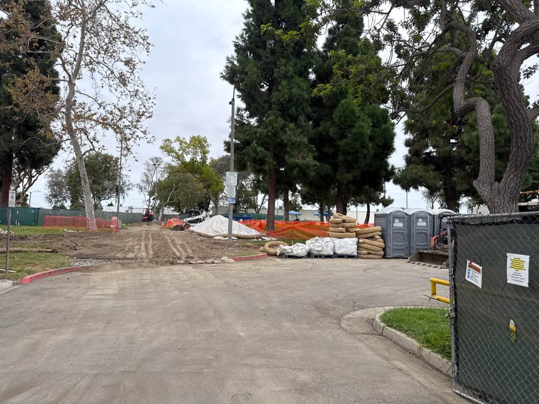 walking near me in Doctor Thomas G Mills Park in autumn