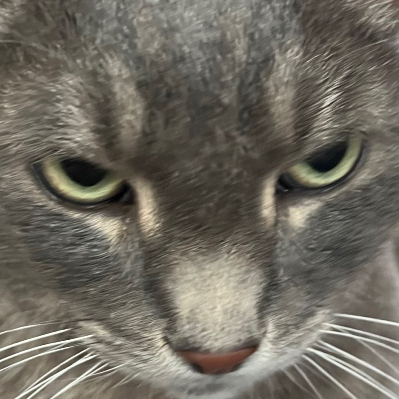 Paul