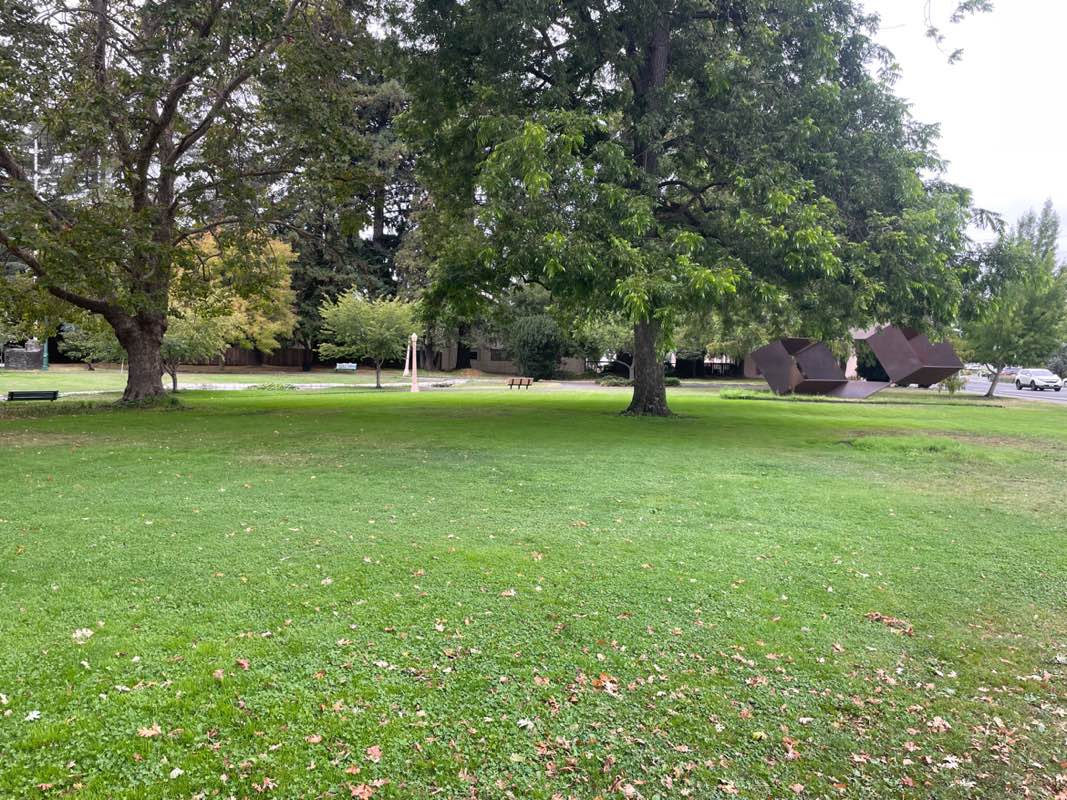 walking near me in Julliard Park in autumn