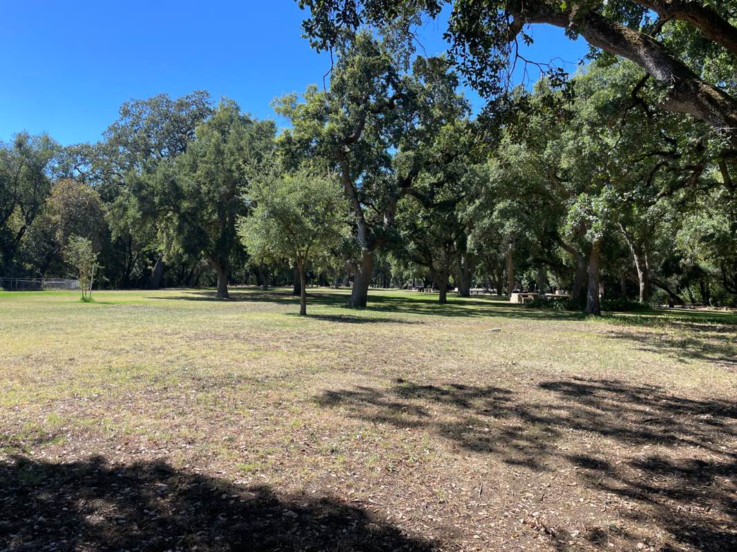 walking near me in Doyle Park in autumn