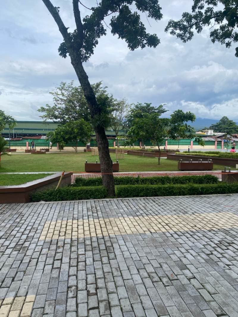 walking near me in Toril Park in autumn