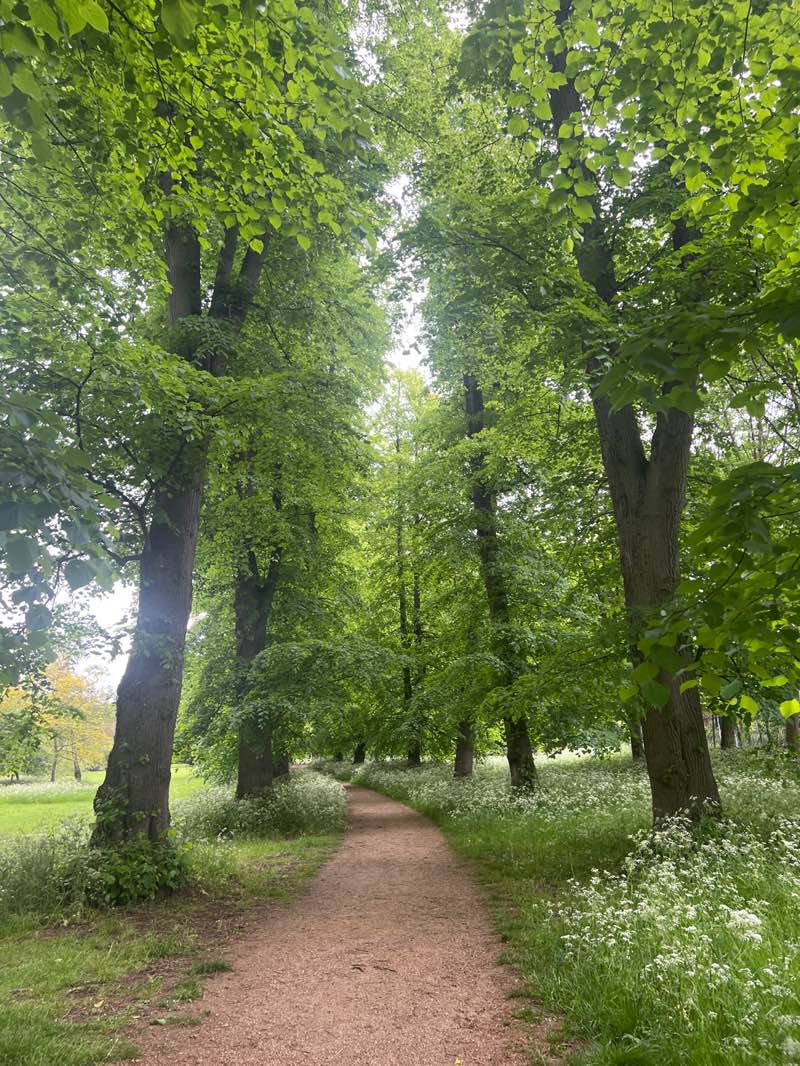 walking near me in Headington Hill Park in summer