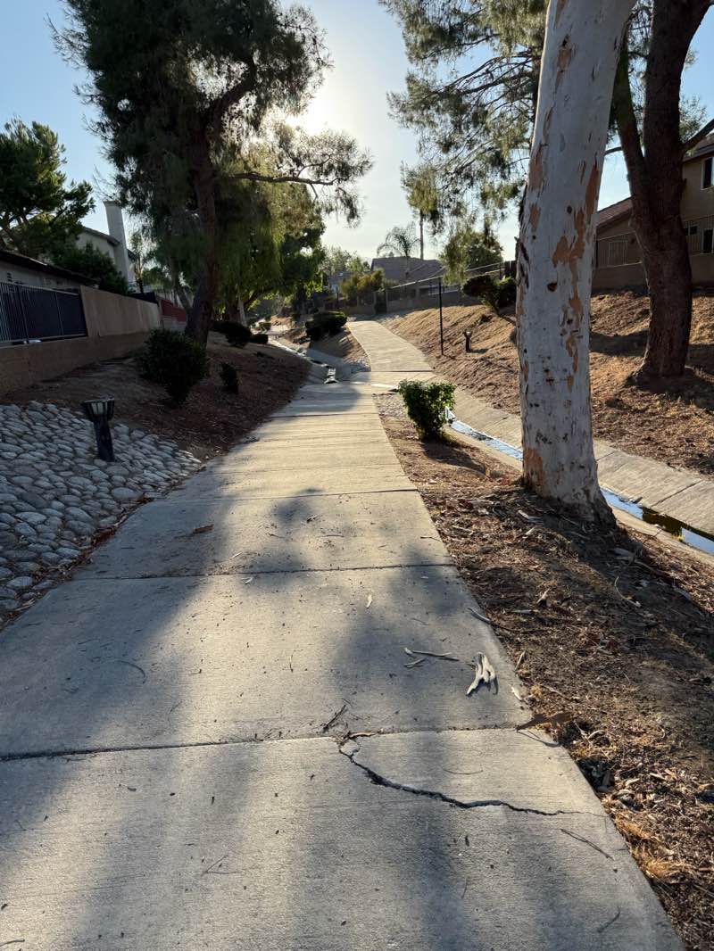 walking near me in Villines and Floradora Park in autumn